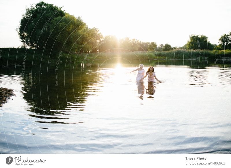 Summer Evening II Nature Beautiful weather Joy Life Love Lake Swimming & Bathing Water Tree Colour photo