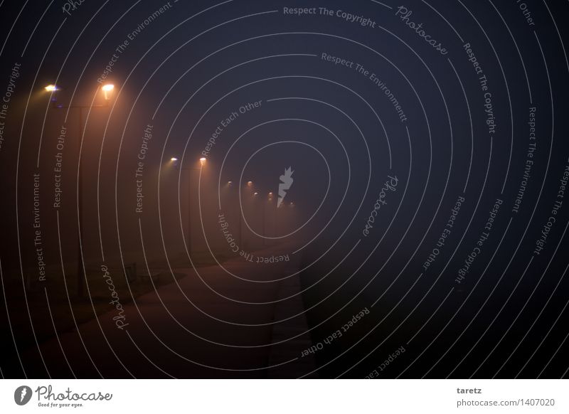 light path Krakow Loneliness Fog Night Street lighting Cone of light Empty Lanes & trails Single-minded Ambiguous Future Cold Dark Hope Groundbreaking