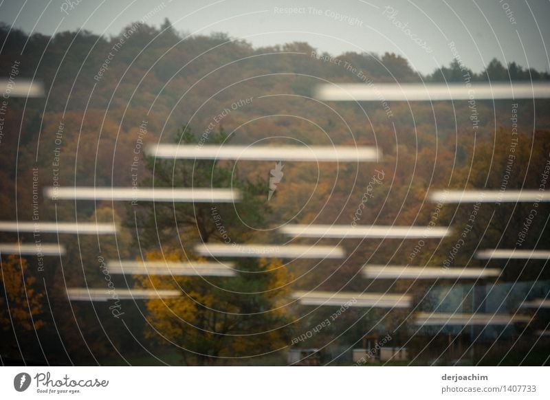 . Reflection on a large window pane, with trees in the background, in the window pane white stripes are reflected. Design Senses Trip Interior design Lamp