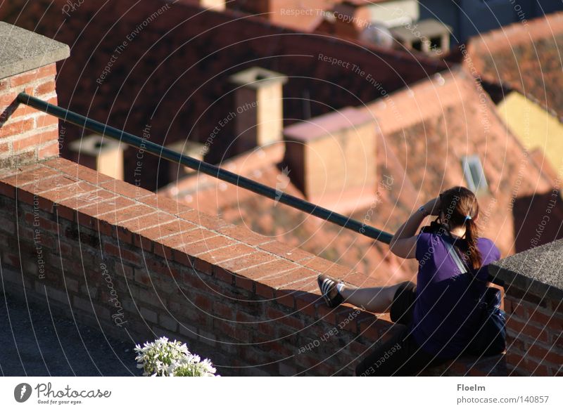 double bird's-eye view Graz Roof Town Summer Wall (barrier) Take a photo Bird's-eye view sariks