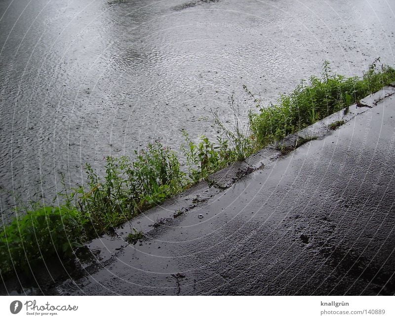 Sunday morning Ruhr Water River Rain Wet Damp Lanes & trails Asphalt Gray Bad weather River bank Foliage plant Plant Wayside Air bubble Glittering Diagonal