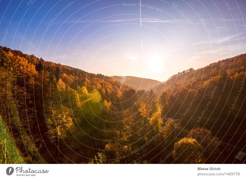 Autumn landscape 2 Environment Nature Sky Clouds Sun Sunrise Sunset Sunlight Beautiful weather Tree Forest Hill Far-off places Infinity Dry Autumnal landscape