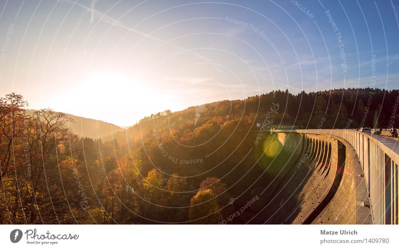 dam wall in the evening sun Environment Nature Landscape Sky Sun Sunrise Sunset Sunlight Autumn Beautiful weather Tree Forest Hill Retaining wall Warmth