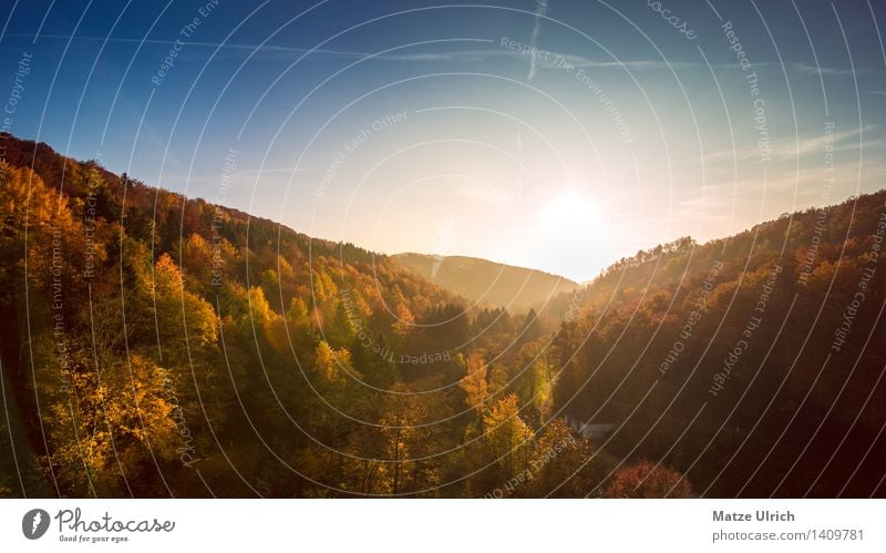 autumn landscape Environment Nature Landscape Sky Sun Sunrise Sunset Sunlight Autumn Weather Beautiful weather Tree landscape levels Land Feature Mixed forest