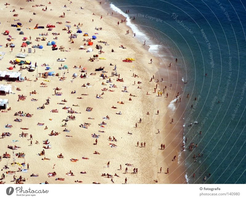 People's roasting house in Nazaré Summer Human being Beach Sun's position Sunbathing Portugal Thirst Water Ocean Coast Atlantic coast sunny beach sea breeze