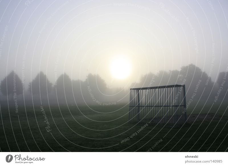 Early gate Calm Summer Sun Ball sports Soccer Fog Tree Traffic infrastructure Beginning Goal Enchanting Tension Treetop amateur football field early morning