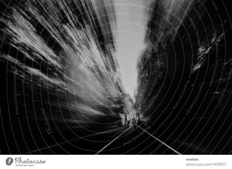 fleeing Transport Traffic infrastructure Road traffic Motoring Street Driving Threat Dark Black White Tree Fly-by Escape Escape route Black & white photo