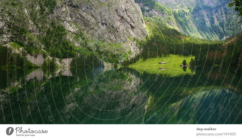 Reflection at Lake Königssee Lake Obersee Massive Wall of rock Rock Nature Bavaria Berchtesgaden Hiking Mountaineering Watzmann Forest Tree Plant Fir tree Water