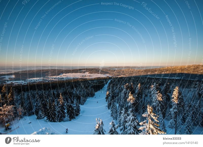 Snow-covered landscape with spruces Far-off places Sun Winter Mountain Ski run Nature Forest Blue White Tree stump Bavaria Spruce Card Sky Cross country skiing