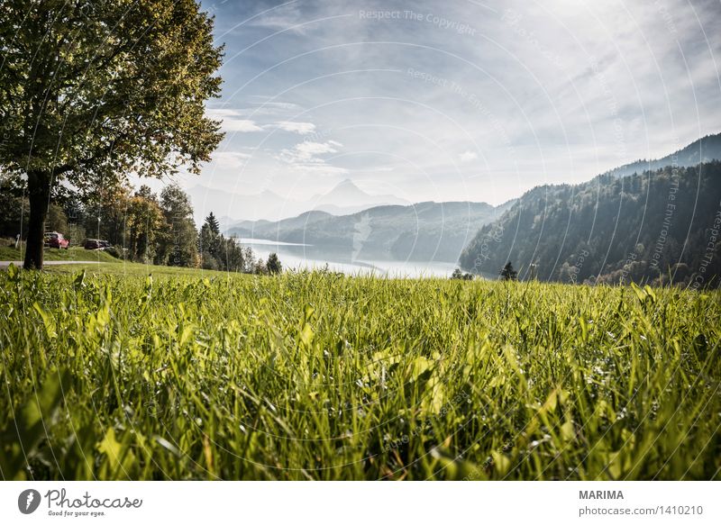 Autumn day in the Allgäu Calm Vacation & Travel Sun Mountain Hiking Environment Nature Landscape Plant Water Fog Tree Field Hill Rock Alps Pond Lake Stone Blue