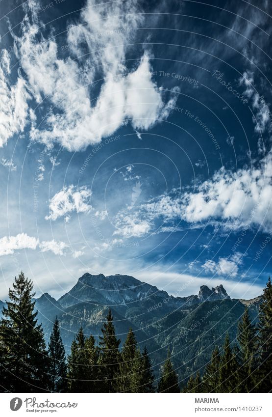 Autumn day in the Allgäu Calm Vacation & Travel Sun Mountain Hiking Environment Nature Landscape Plant Clouds Forest Hill Rock Alps Stone Blue Green Go up