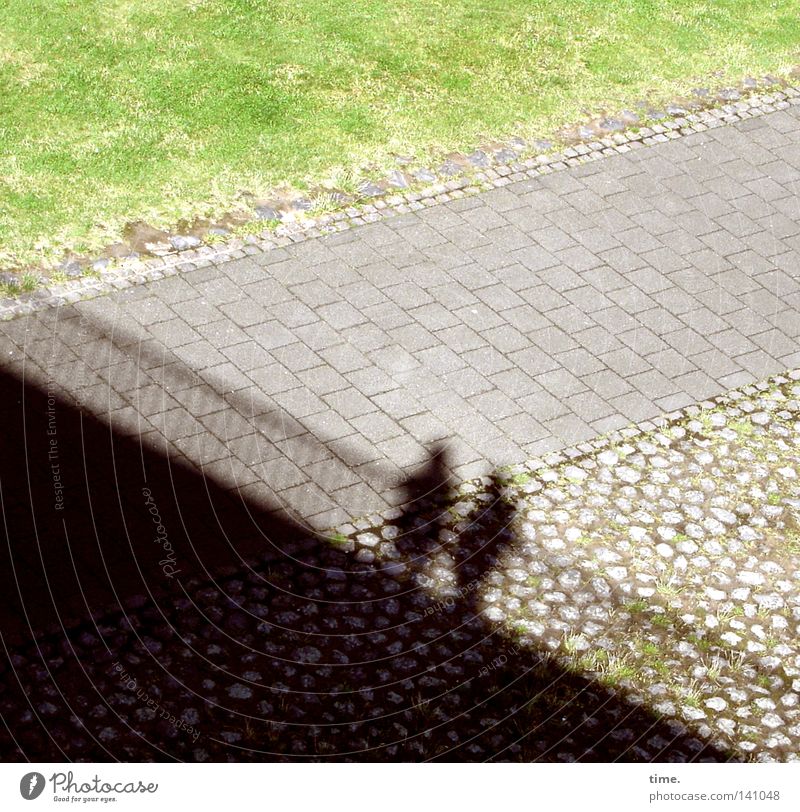 Two men watching from the Rhine bridge in Düsseldorf Grass Bridge Pedestrian Lanes & trails Stone Bright Diagonal To go for a walk Pedestrian crossing Border