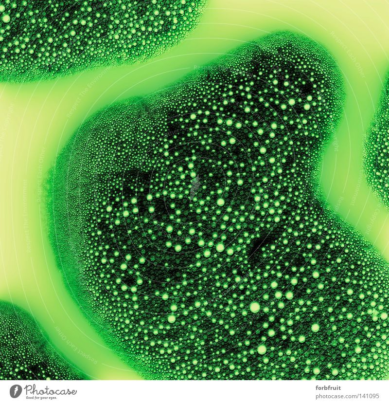 "What's W(d)as?" Neon light Green Air bubble Bubble Airy Electricity River Water Spray Back-light Background lighting Detail Photomicrograph