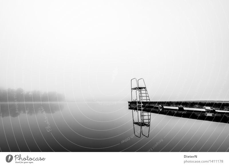 The lake rests still Landscape Water Autumn Fog Lakeside Gray Black White Footbridge Springboard Tree Swimming pool Black & white photo Exterior shot Deserted