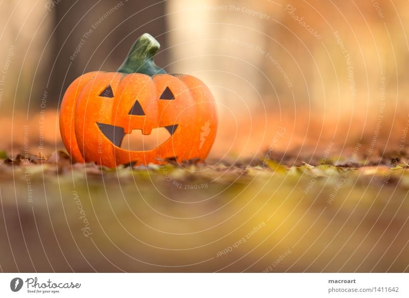 Happy Halloween Pumpkin Hallowe'en jack o lantern Autumn Autumn leaves Orange Yellow Seasons Face Grimace Laughter Smiling Vegetable Nature Natural Leaf