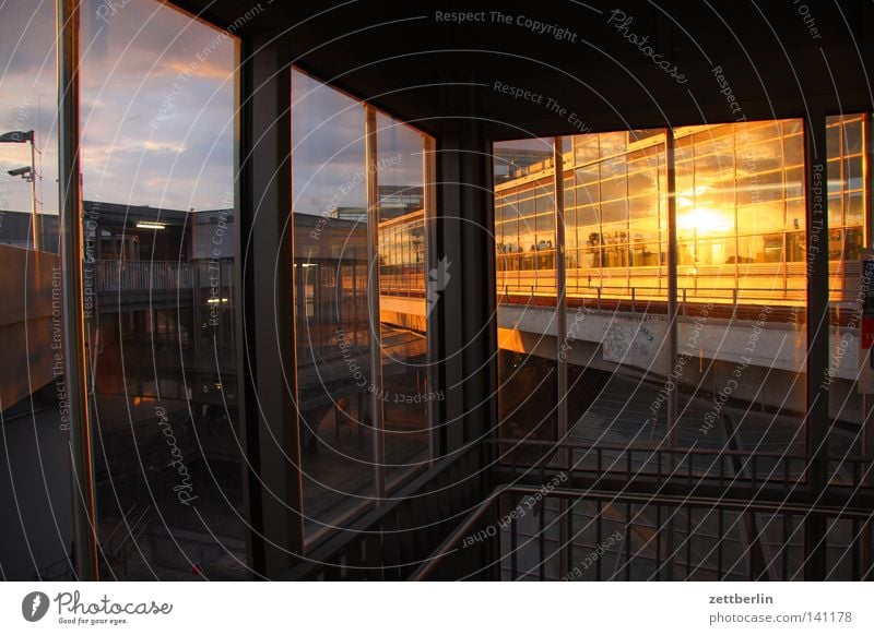 favourite building House (Residential Structure) Greenhouse Construction site Manmade structures Facade Glas facade Sun Evening sun Reflection Window