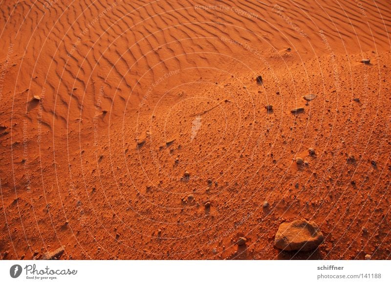 sandy coast Desert Sand Beige Sandbank Earth Waves Drought Gale Wind Sanddrift Grass Tuft of grass Tracks Sunset Dry Infertile Burnt Blow Jordan Wadi Rum Stone