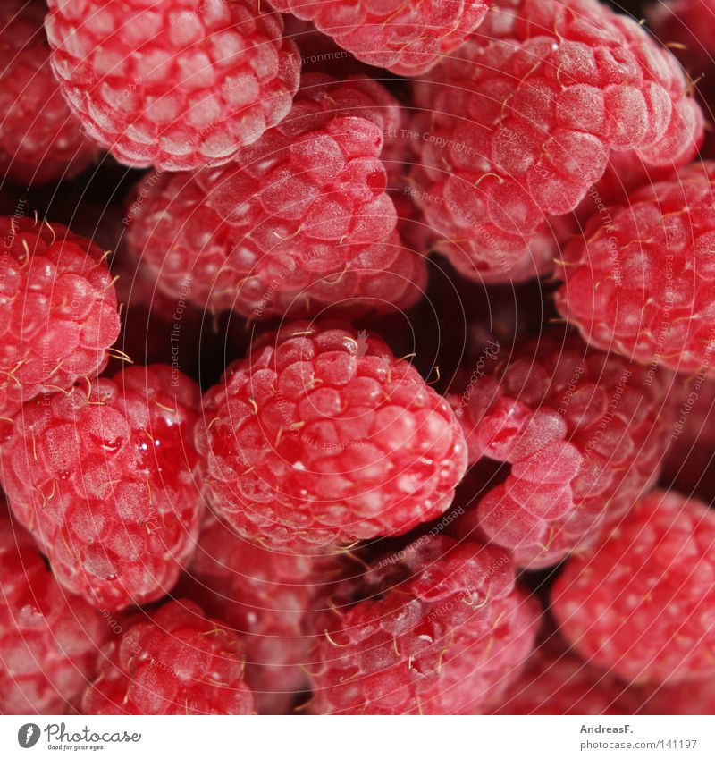 raspberries Raspberry Fruit sugar Red Fresh Juicy Vitamin Nutrition Background picture Pattern Sweet Vitamin-rich Aromatic Lemonade Refreshment Summer fructose