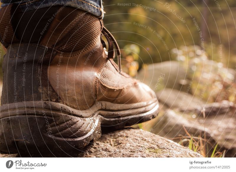 Hiking adventure in the woods and forest Fitness Sports Training Nature Landscape Earth Weather Beautiful weather Garden Forest Hill Rock Alps Mountain Canyon