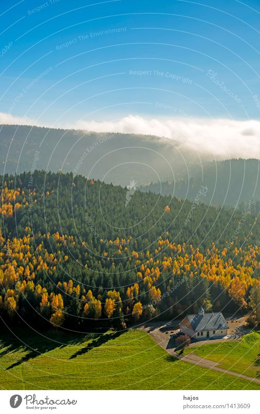 View of the autumnal forests of the Vosges Mountains Tourism Far-off places Nature Sky Autumn Fog Leaf Forest Hill Blue Yellow Rocher de Dabo France Alsace view