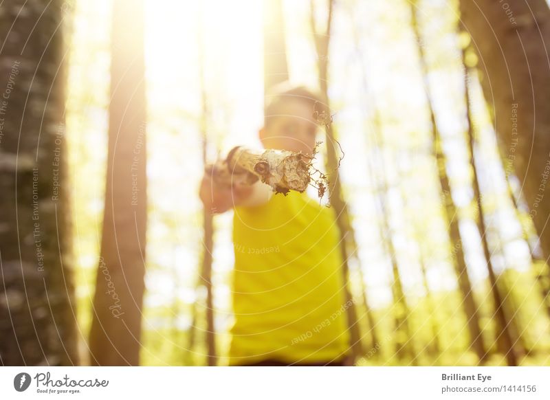 forest weapon Lifestyle Summer Child Human being Boy (child) 1 Environment Nature Tree Forest Simple Natural Yellow Optimism Honest Modest Respect Adventure