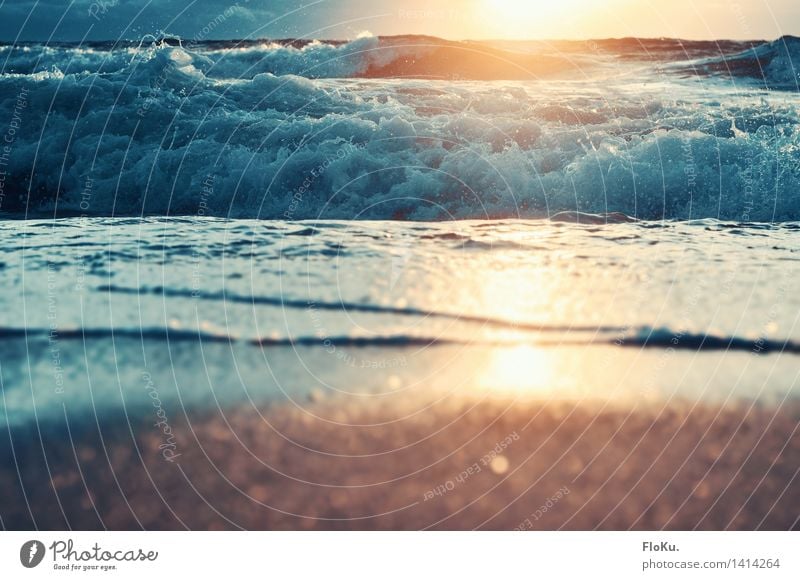 Surf in the sun Environment Nature Landscape Elements Sand Water Horizon Sunrise Sunset Summer Beautiful weather Waves Coast Beach North Sea Ocean Wet Natural