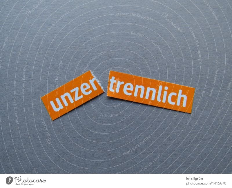 inseparable Characters Signs and labeling Communicate Sharp-edged Gray Orange White Emotions Moody Happy Euphoria Optimism Sympathy Relationship Inseparable