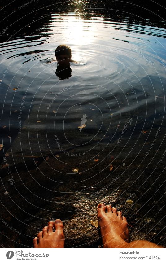 "Stay away and come!" Lake Swimming & Bathing Together Curiosity Loneliness Sun Electricity Tension Lure Playing Water Summer Passion Quarry Trust Swimming lake