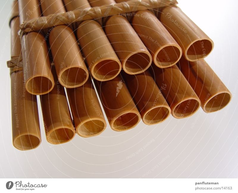 zampona Flute Panpipe Macro (Extreme close-up) Close-up Musical instrument Bamboo stick