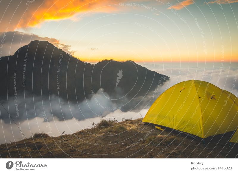 sleeping place in the first row Environment Nature Landscape Air Sky Cloudless sky Clouds Horizon Sunrise Sunset Mountain Peak Lombok Tent Tent camp Wanderlust