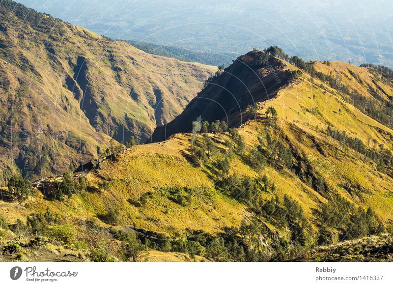 tent camp Vacation & Travel Tourism Trip Adventure Far-off places Freedom Expedition Camping Mountain Hiking Nature Landscape Peak Canyon Lombok Indonesia