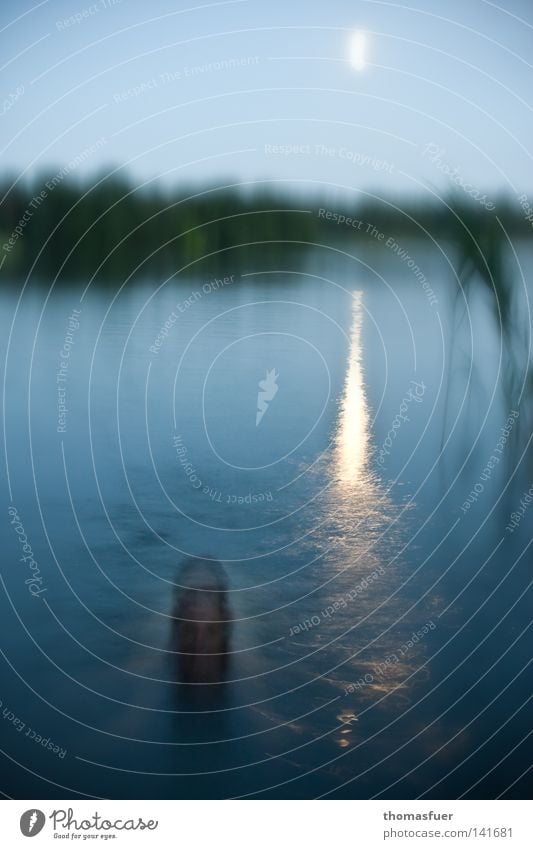 Woman bathing in moonlight - abstract Fairy Dream Ghosts & Spectres Fairy tale Lake Twilight Night Transcendence pretty Celestial bodies and the universe undine