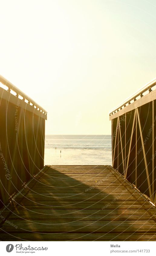 bridge into nothing Relaxation Calm Vacation & Travel Sun Beach Ocean Coast North Sea Bridge Lanes & trails End Break Perspective Moody Footbridge Colour photo