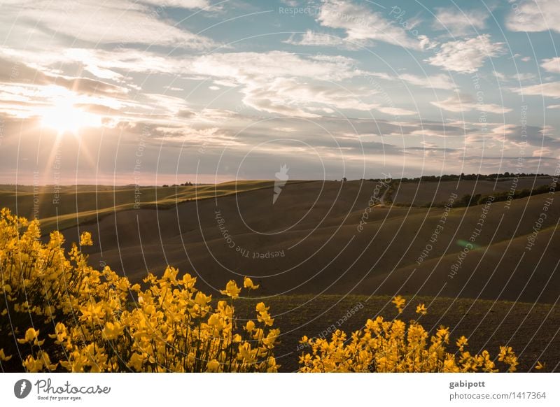 and a plastic cup of red wine in his hand. Vacation & Travel Tourism Trip Adventure Summer Summer vacation Sun Sunbathing Hiking Nature Landscape Sky Clouds