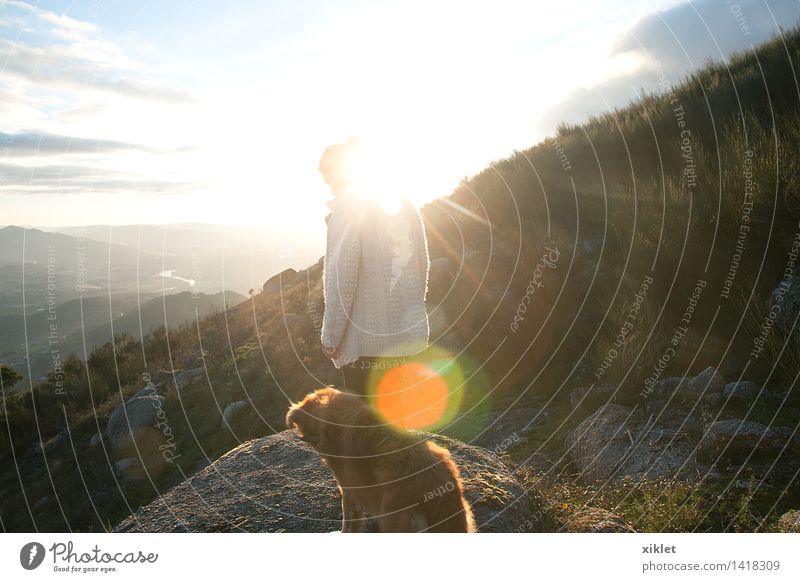 perfect sun Sun Dog Animal Human being Woman Winter Nature Colour Blue White Light Light (Natural Phenomenon) blinded Calm Walking To go for a walk Relaxation