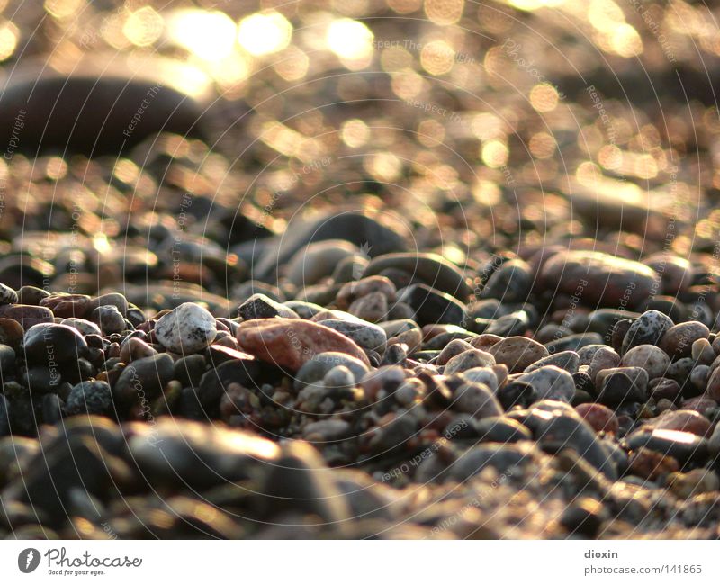 Corsican gravel Gravel Stone Pebble Dusk Evening Beach Gravel beach Coast Vacation & Travel Island Mediterranean Mediterranean sea Summer Light Glittering