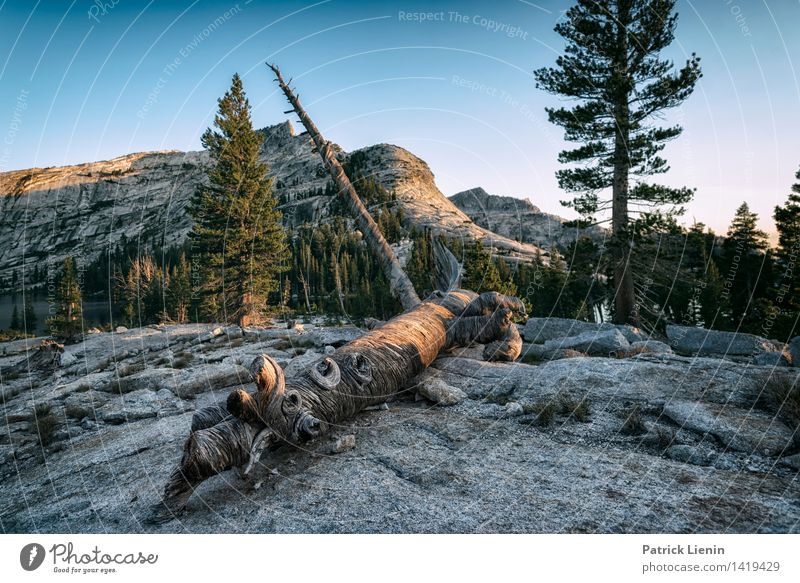 Yosemite National Park Life Harmonious Well-being Contentment Senses Relaxation Calm Meditation Vacation & Travel Tourism Adventure Far-off places Freedom