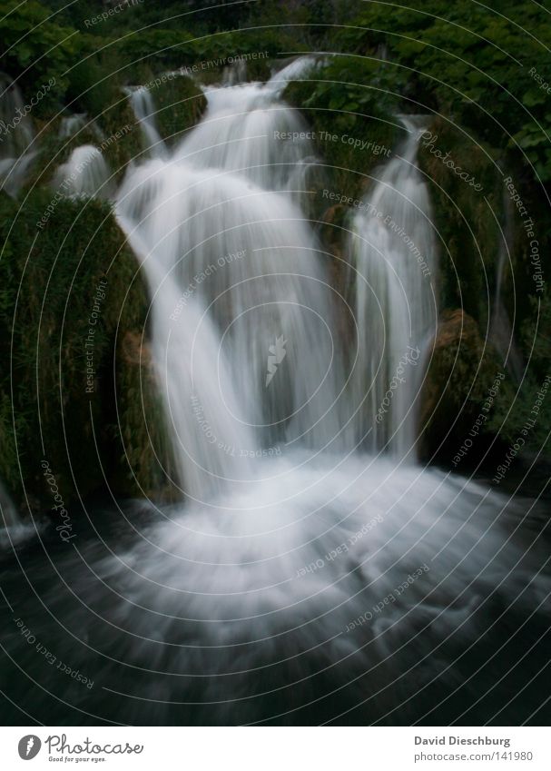 deluxe waterfall* Waterfall Meteorology Weather Fluid Wet Flow Movement Nature Moss Current Romance Long exposure Bright Dark Green Frozen Forest Tree Lake