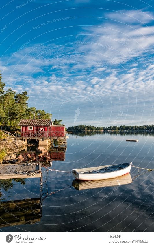 Archipelago on the Swedish coast Relaxation Vacation & Travel Tourism Island Nature Landscape Clouds Tree Coast Baltic Sea Watercraft Blue Green Skerry Swede