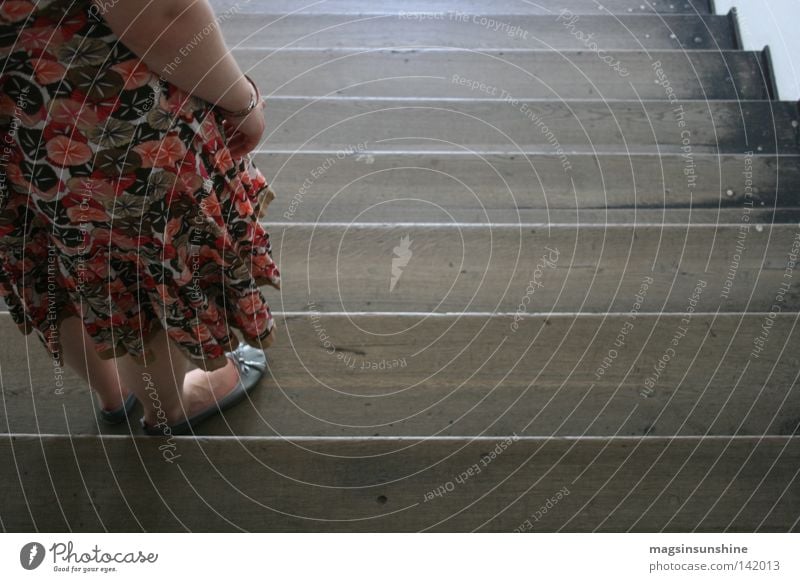 ...::... Stairs Still Life Woman Flower Dress Wood Stand Bird's-eye view Photographic technology