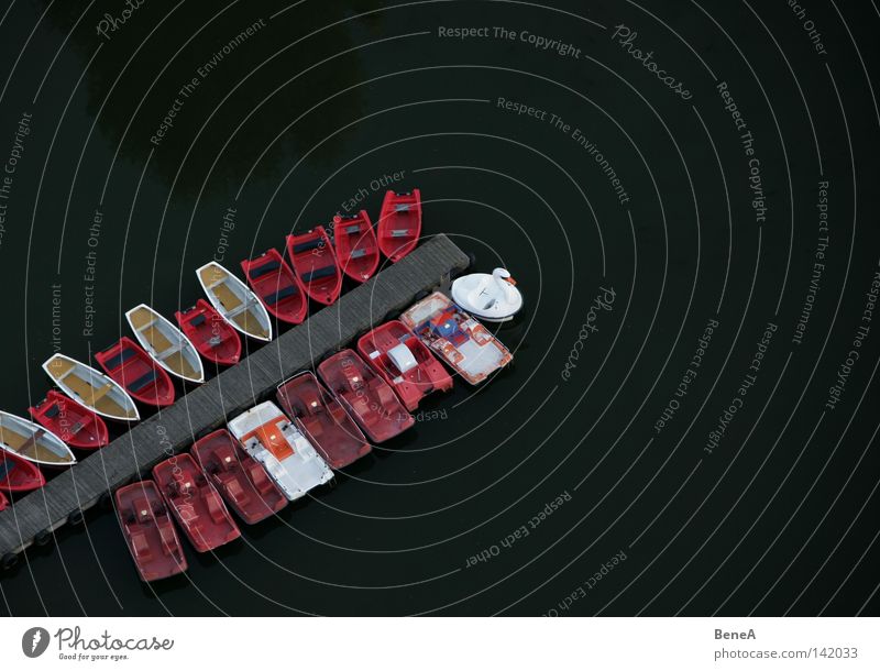 sail Watercraft Rowboat Pedalo Tread Footbridge Wood Wooden board Bird's-eye view Olympic lake Olympics Olympic Park Olympic Tower Munich Line