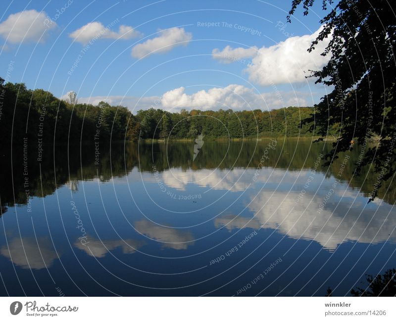 wendorfer lake I Forest lake Lake Mecklenburg-Western Pomerania Calm Reflection Symmetry village schmooksberg