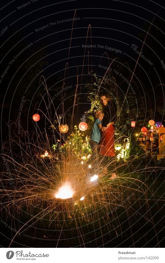 national holiday Explosion Water fountain Fountain Light Goldenchain tree Meadow National Day Switzerland Public Holiday New Year's Eve Party Exuberance Romance