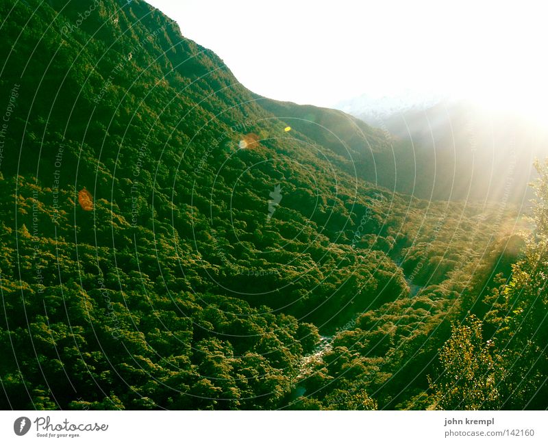 Let there be light! Anau Milford Sound New Zealand South Island Virgin forest Forest Green Light Sun Morning Sunrise Lamp Light (Natural Phenomenon)