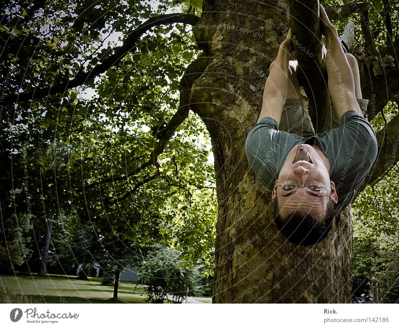 I want to hang out again. Tree Jump Autumn Yellow Fellow Meadow Sudden fall To fall Hold Situation Sky Living thing Guy Action Leaf Movement Tree bark Moody