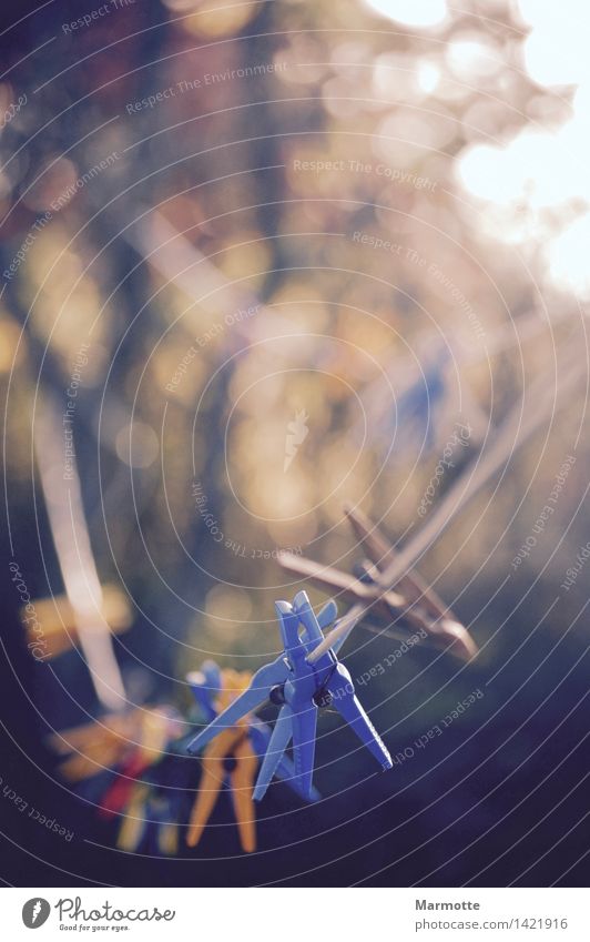 what gets stuck? Clothesline Hang Old Clean Blue Orderliness Cleanliness Loneliness Colour Vacation & Travel Colour photo Exterior shot Deserted Copy Space top