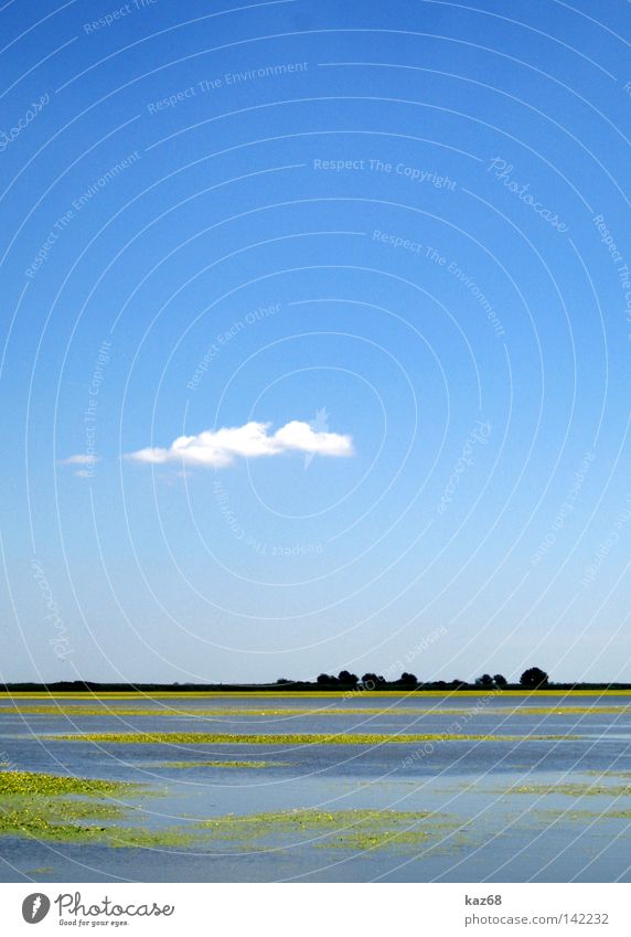 puszta Puszta Lake River Sky Hungarian Clouds Plant Tree Yellow White East Pusta Landscape Land Feature Loneliness Flat Bird Paradise Beautiful Nature Park