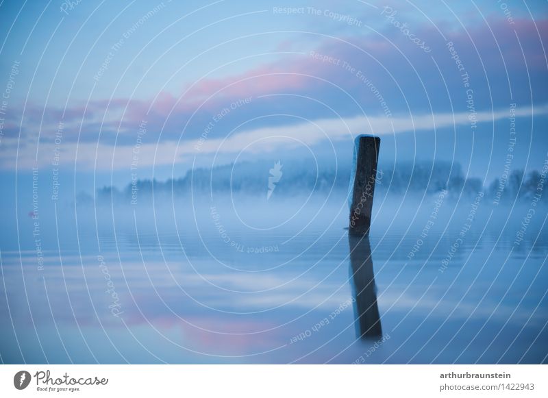 Lake pile Far-off places Winter Snow Winter vacation Nature Landscape Water Sky Clouds Beautiful weather Fog Waves Pond Wood Swimming & Bathing Cold Power Calm