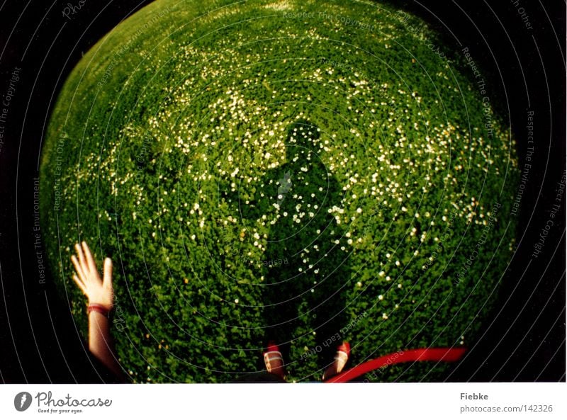 Planet Daisy Meadow Grass Flower Green White Shadow Blade of grass Hand Feet Footwear String Red Wave Salutation Hello Sphere Fisheye Lomography Plant