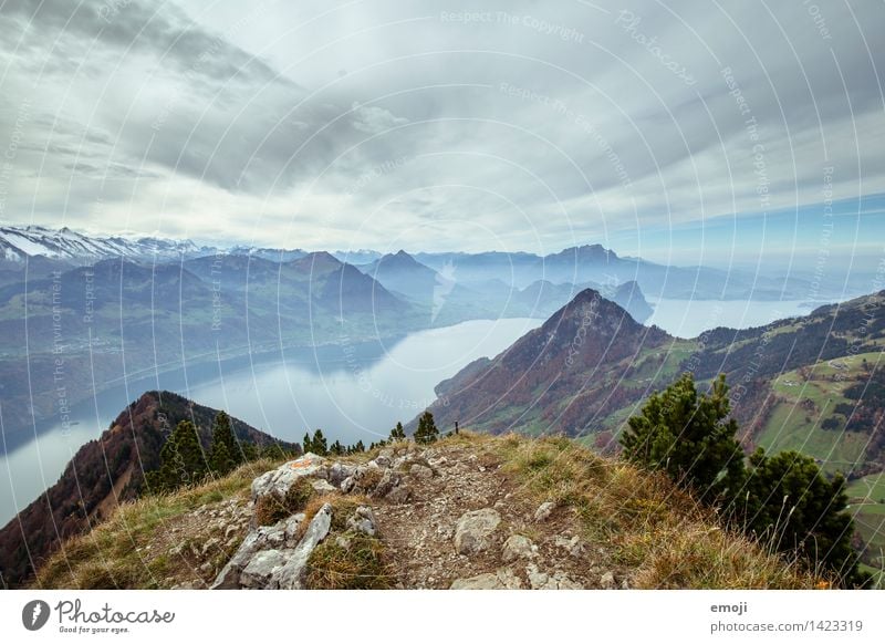 We did it! Environment Nature Landscape Autumn Alps Mountain Peak Lake Exceptional Natural Blue Switzerland Tourism Hiking trip Lake Lucerne Colour photo